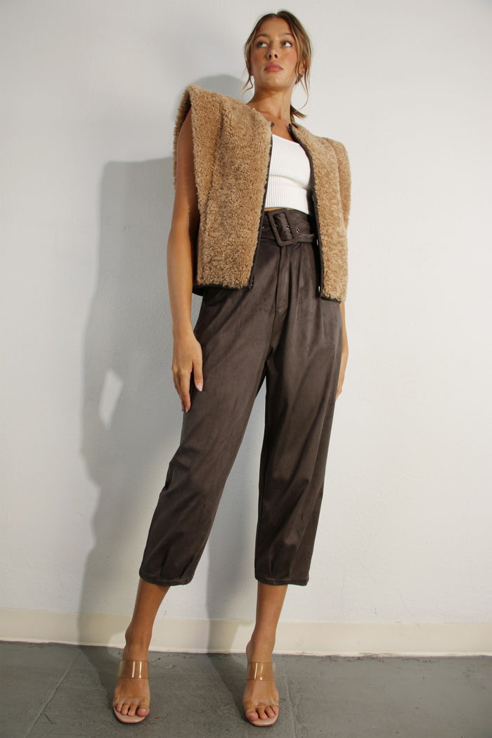 Suede Pants Brown